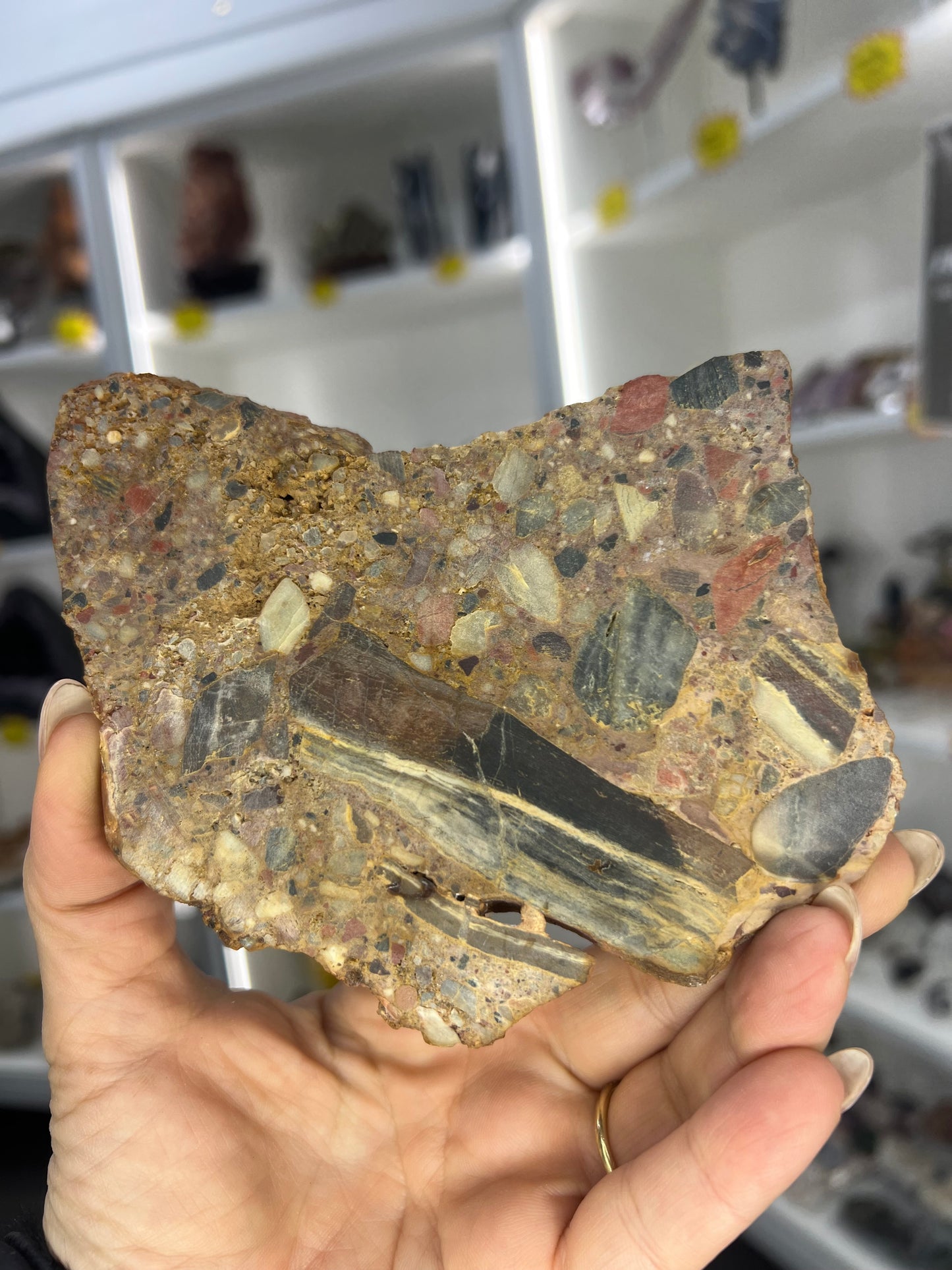 Conglomerate Slab
