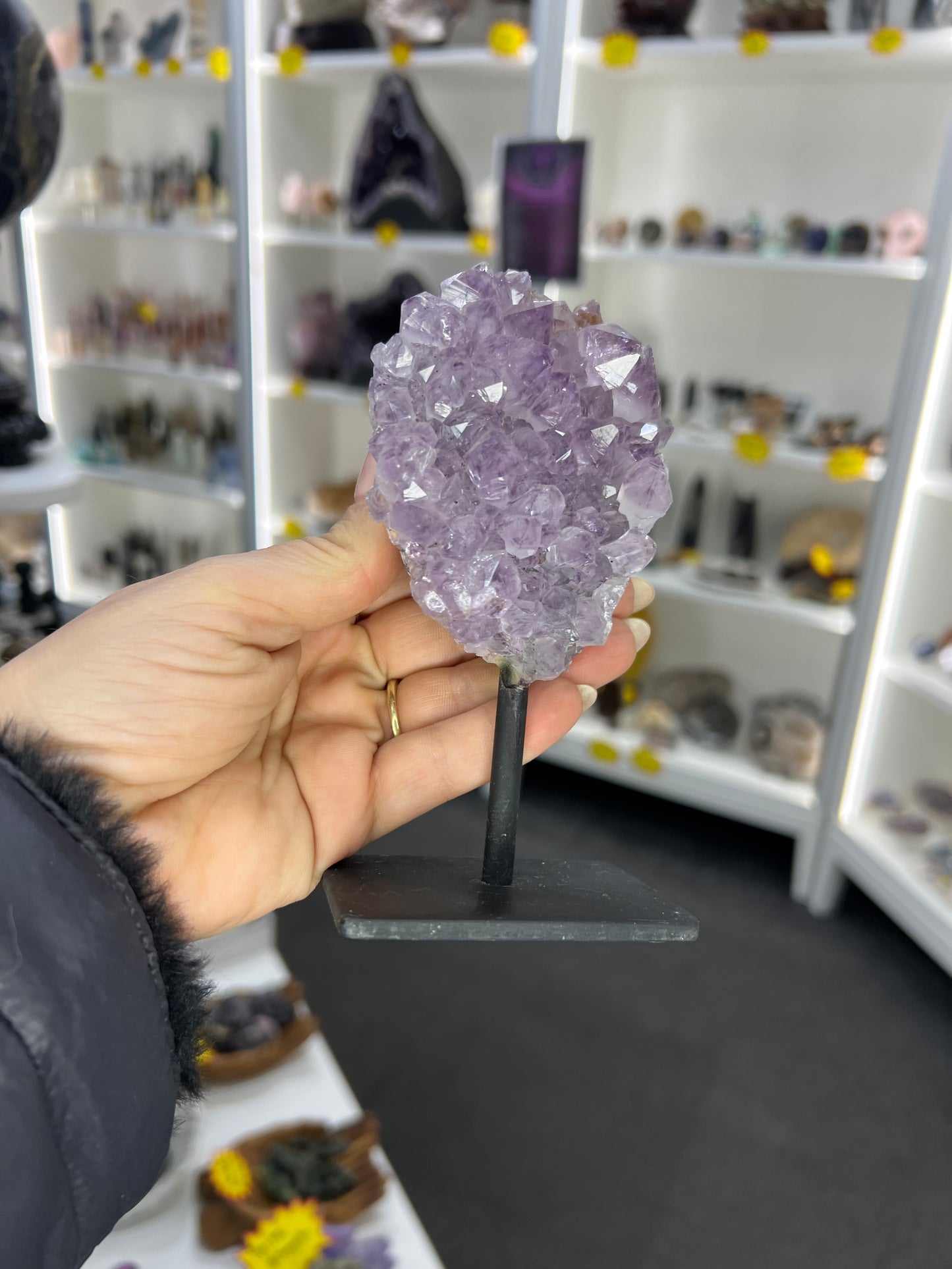 Amethyst Cluster Specimen on Stand