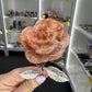 Pink Agate Forever Rose