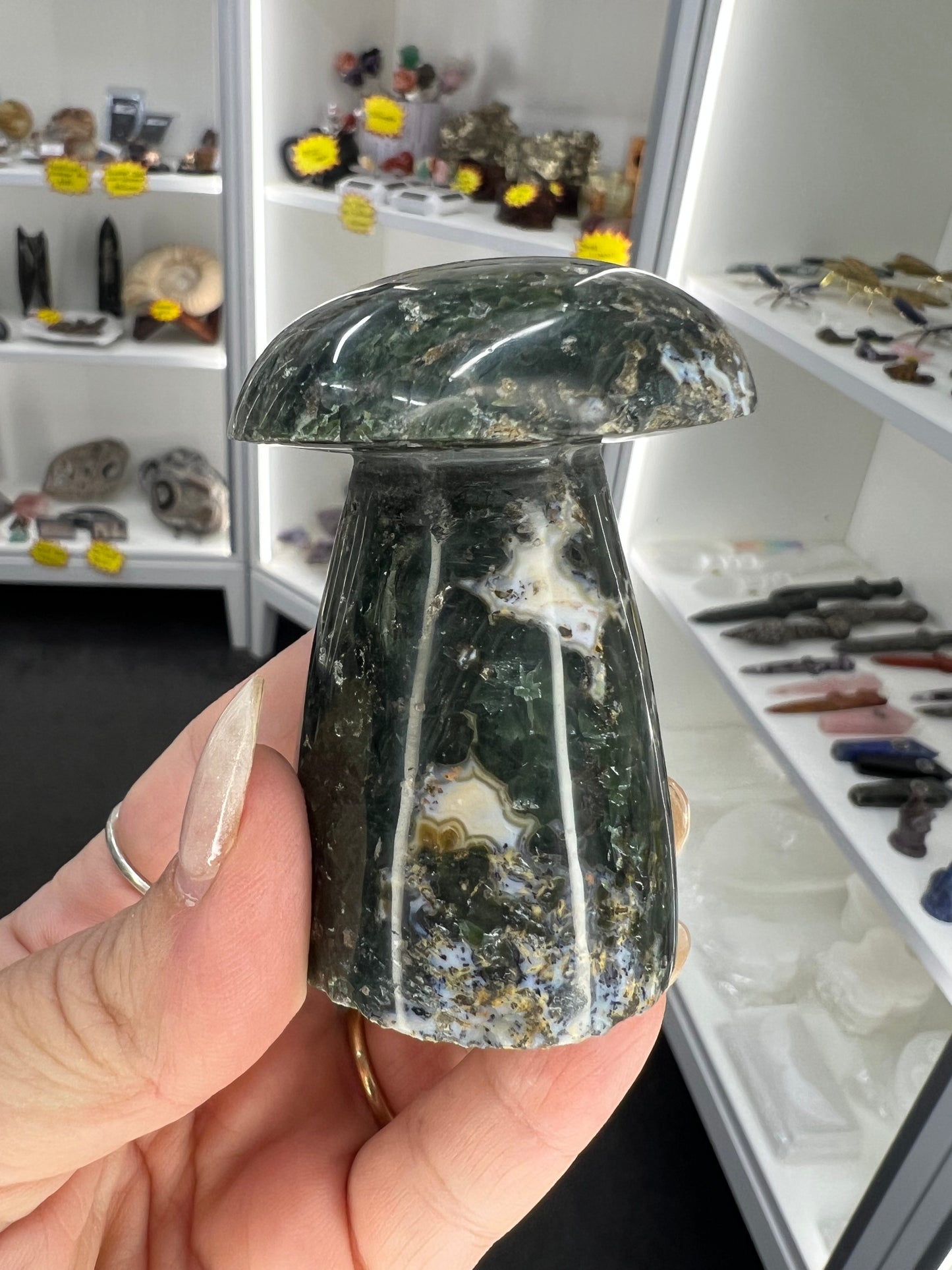 Ocean Jasper Mushroom