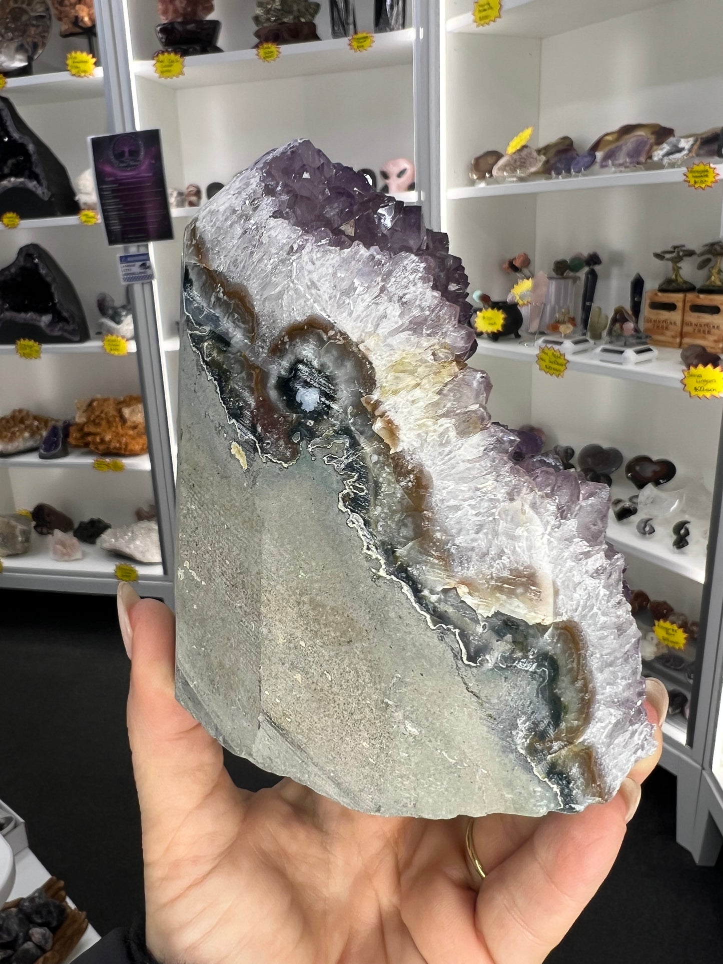 Amethyst Cluster Specimen
