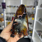 Sardonyx Dragon Skull