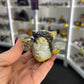 Picture Jasper Bat