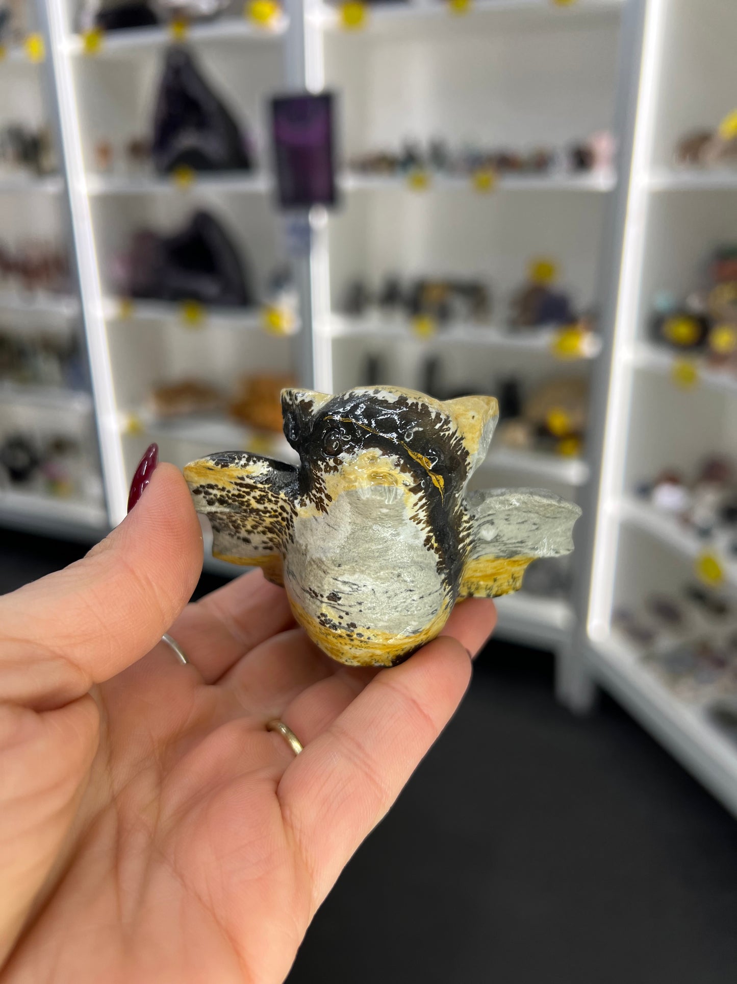 Picture Jasper Bat
