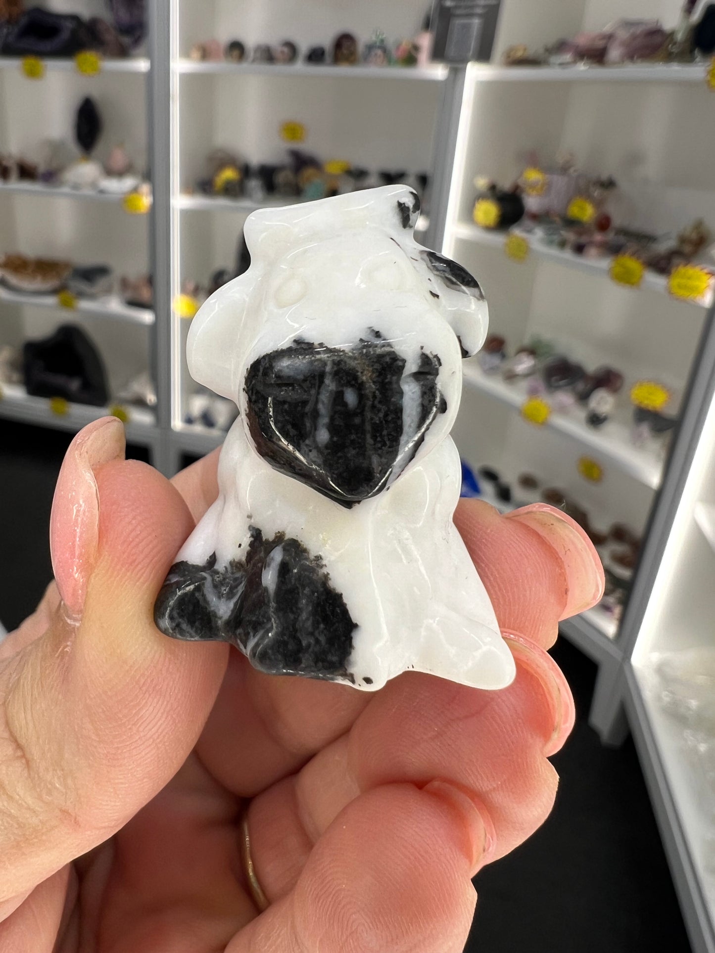Zebra Jasper Cow
