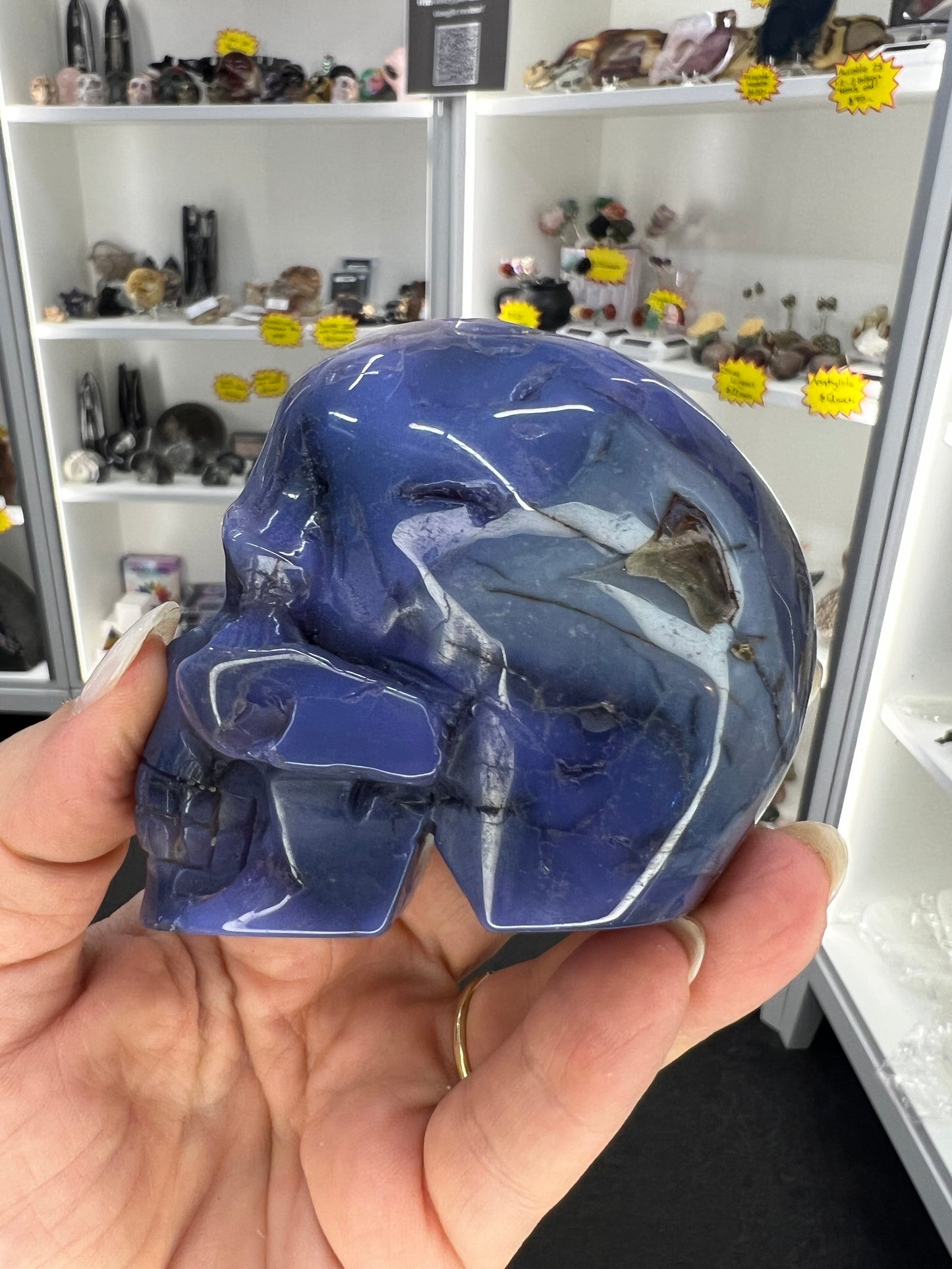 Blue Flower Agate Skull