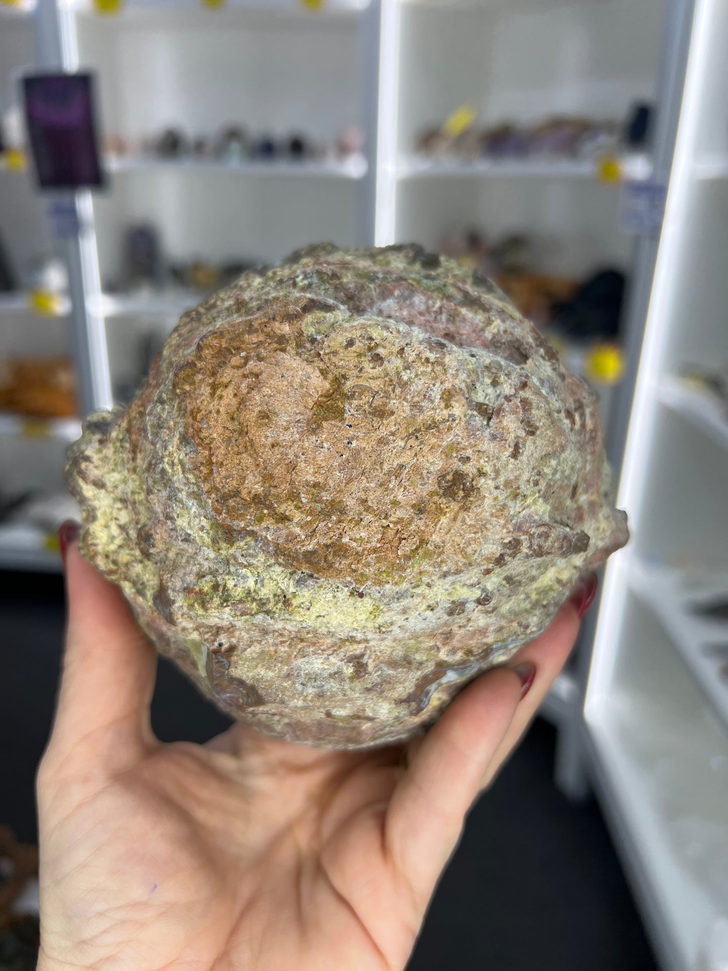 Dugway Agate