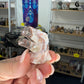 Mexican Lace Agate Dinosaur Head