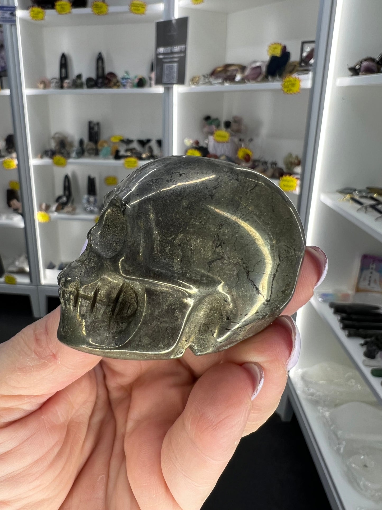 Pyrite Skull