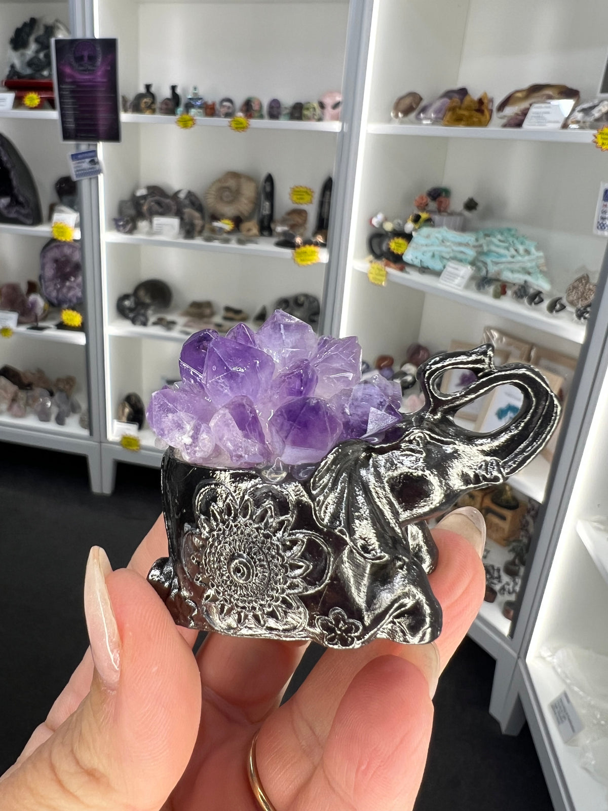 Amethyst Cluster on Grey Elephant