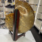 Huge Ammonite on Stand