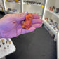 Sunstone Charmander