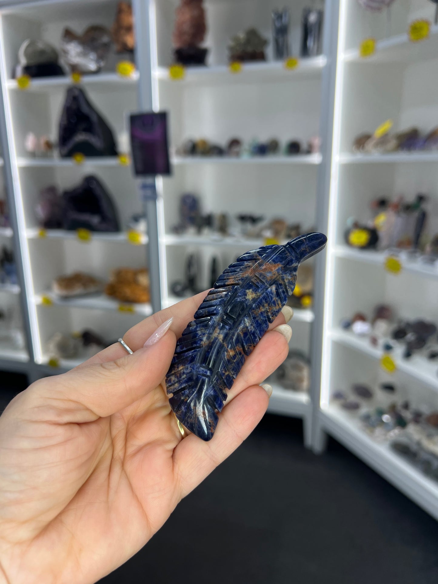 Sodalite Feather