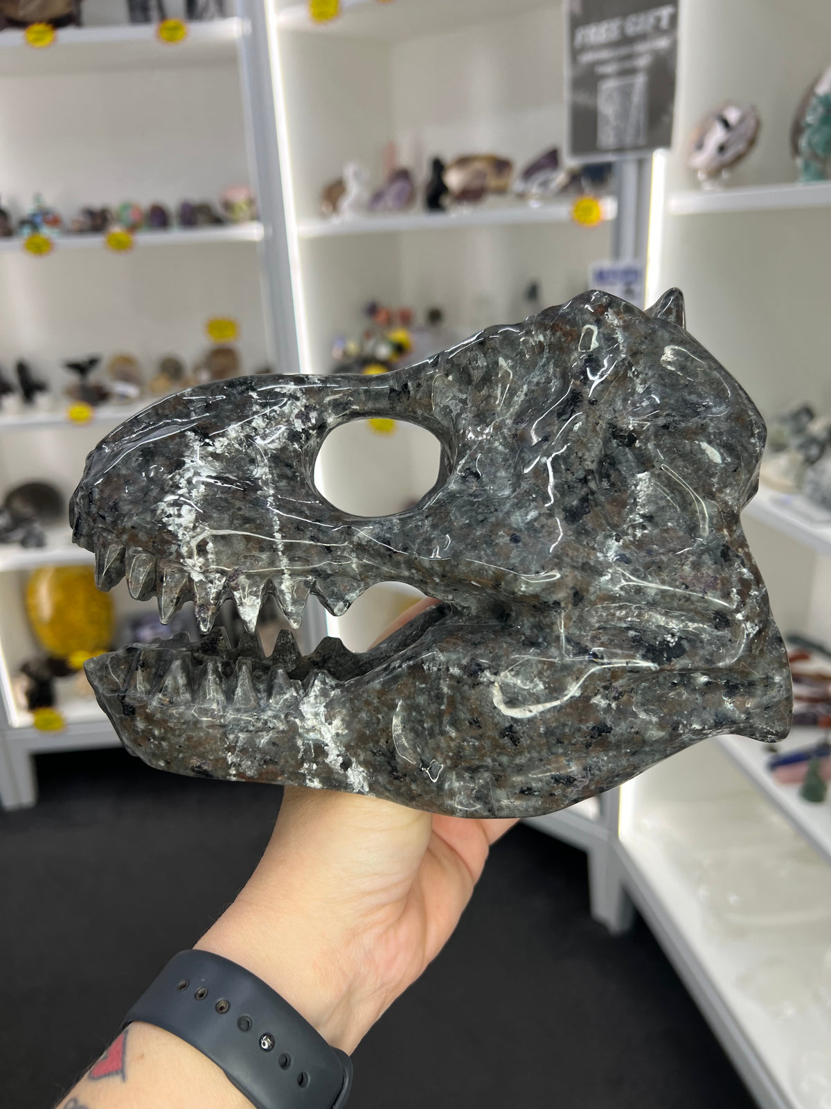 Yooperlite Dinosaur Skull (UV Reactive)