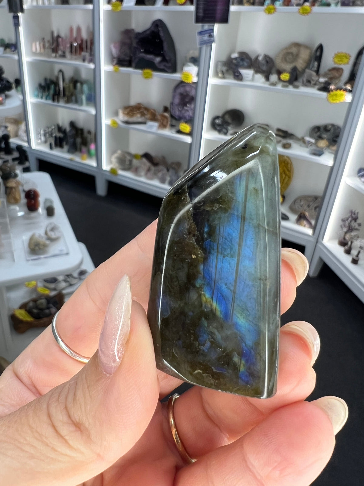 Labradorite Freeform