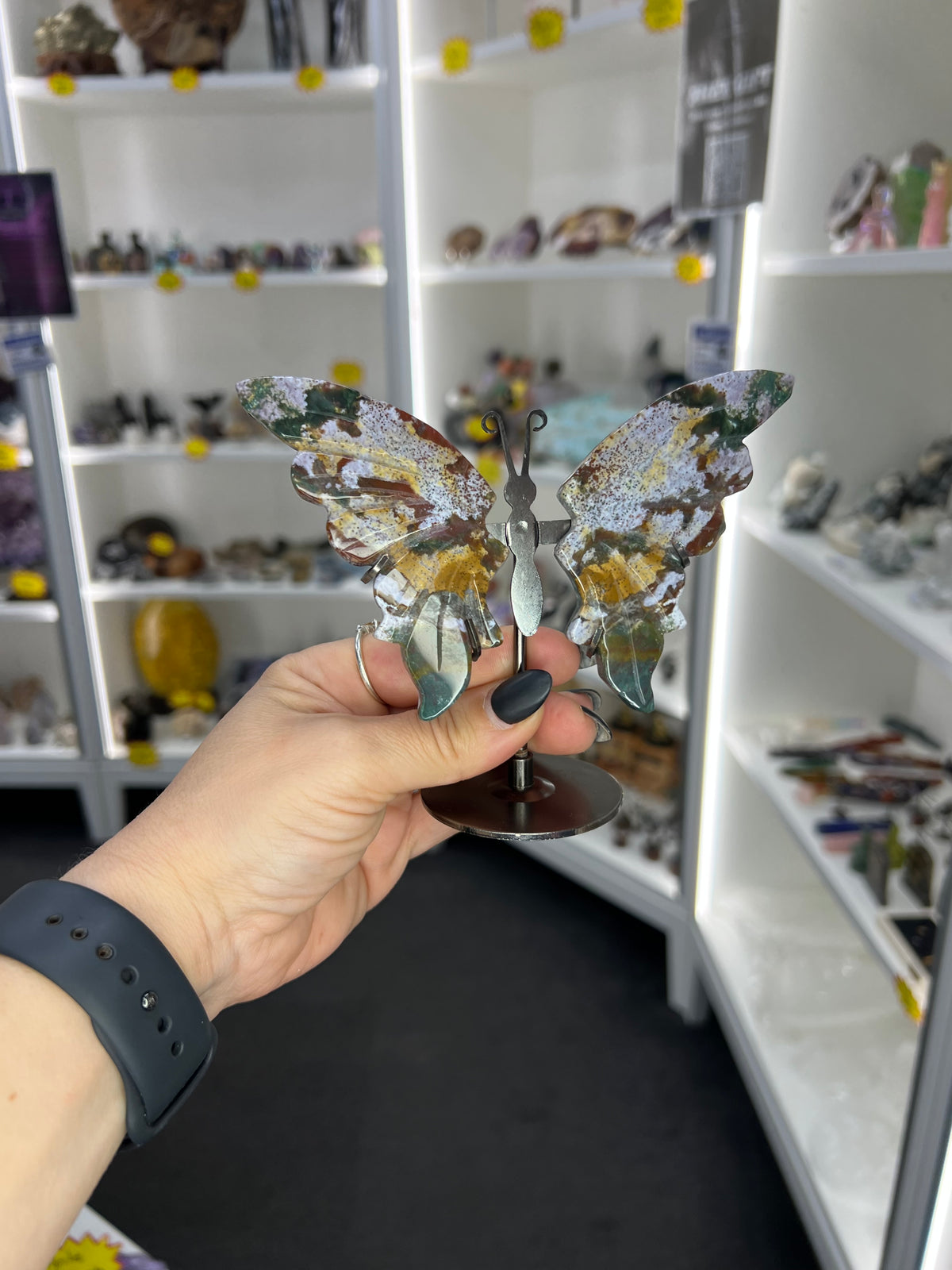 Ocean Jasper Butterfly