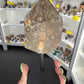 Smoky Quartz Point on Stand