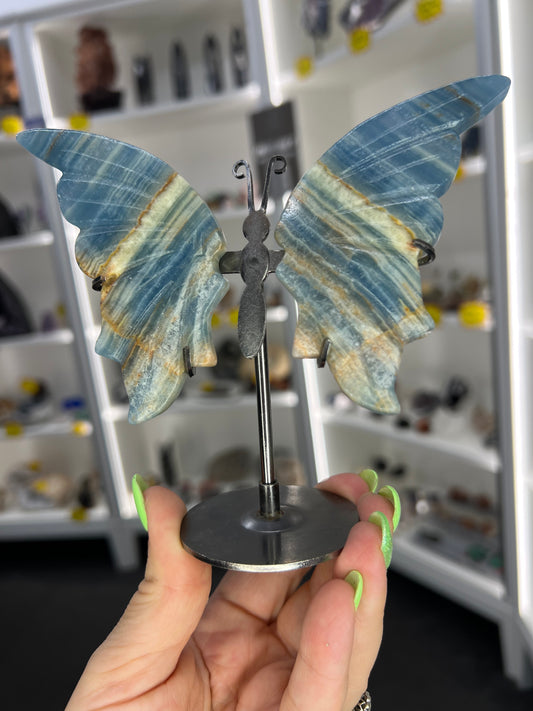 Blue Onyx Butterfly