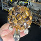 Tiger Eye Turtle