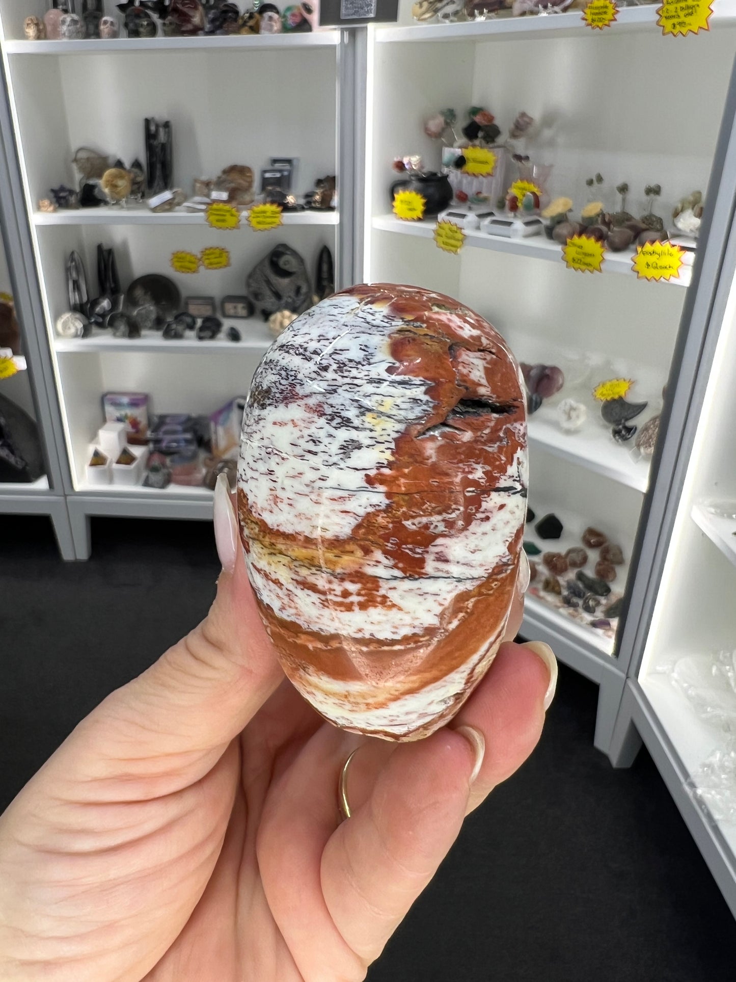 Petrified Wood Skull