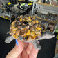 Tiger Eye Turtle