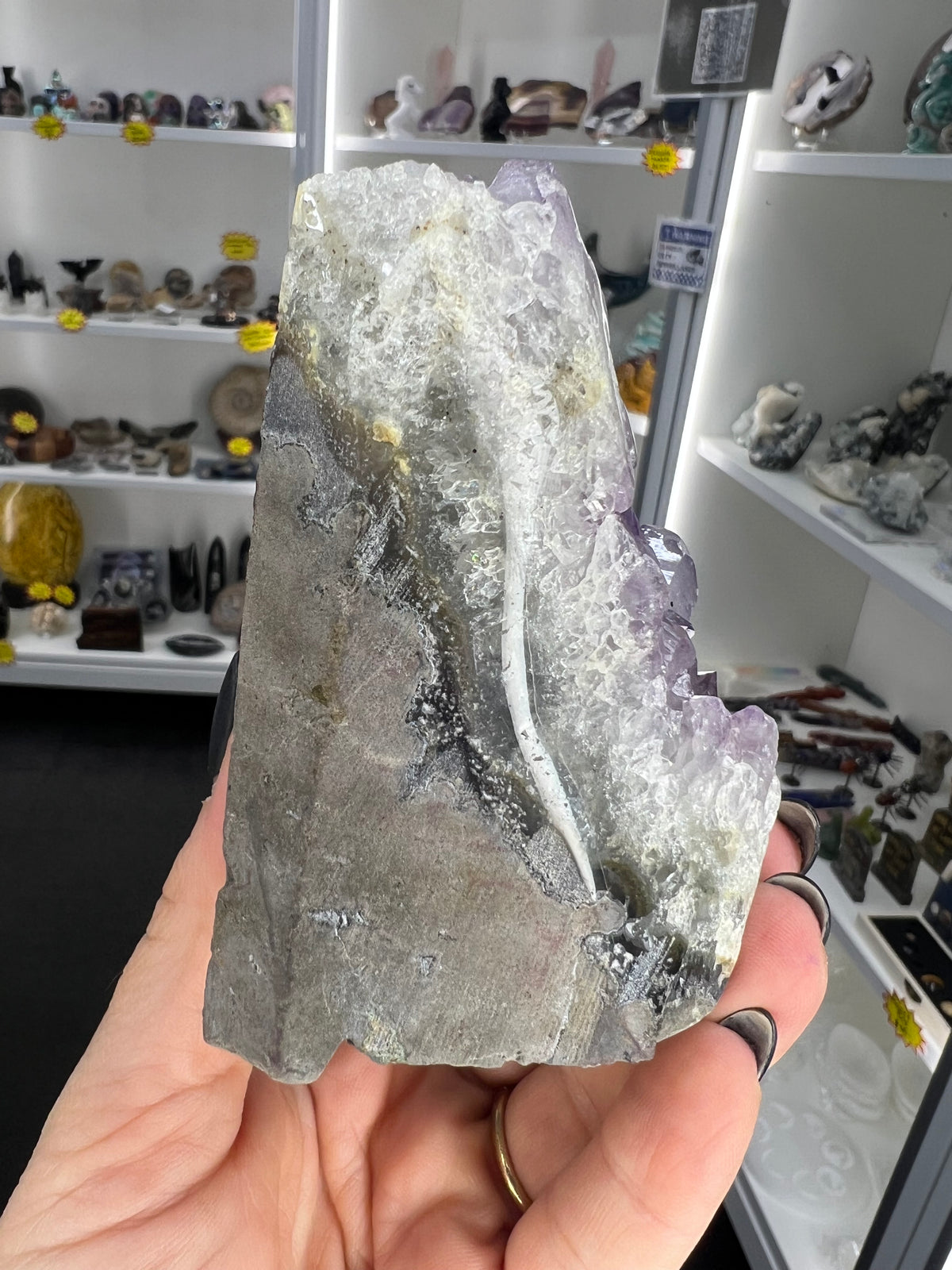 Amethyst Cluster Specimen