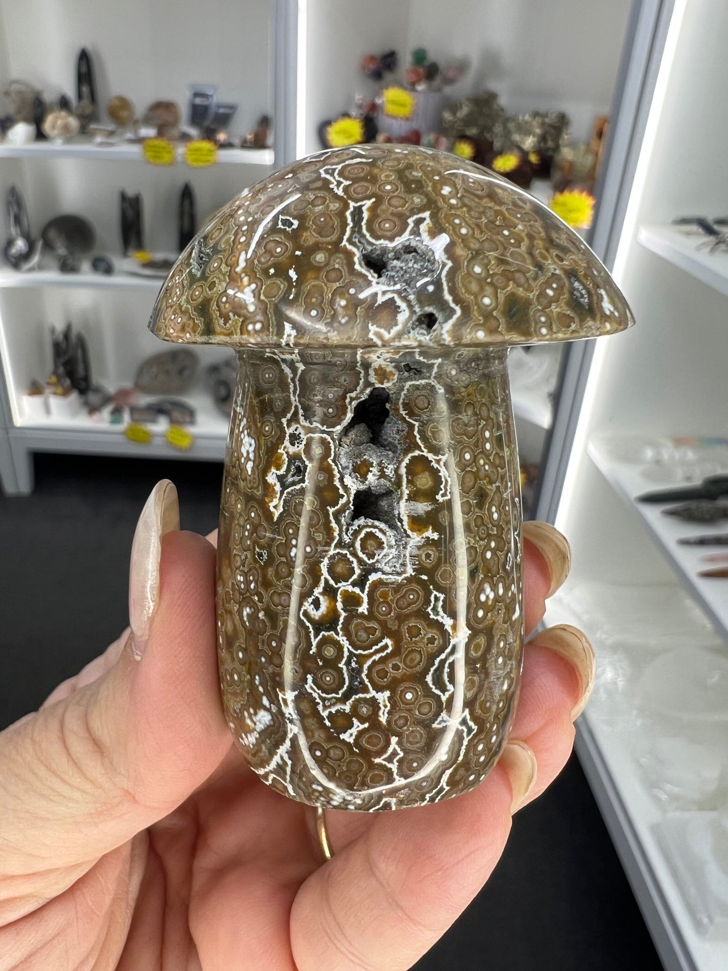 Ocean Jasper Mushroom