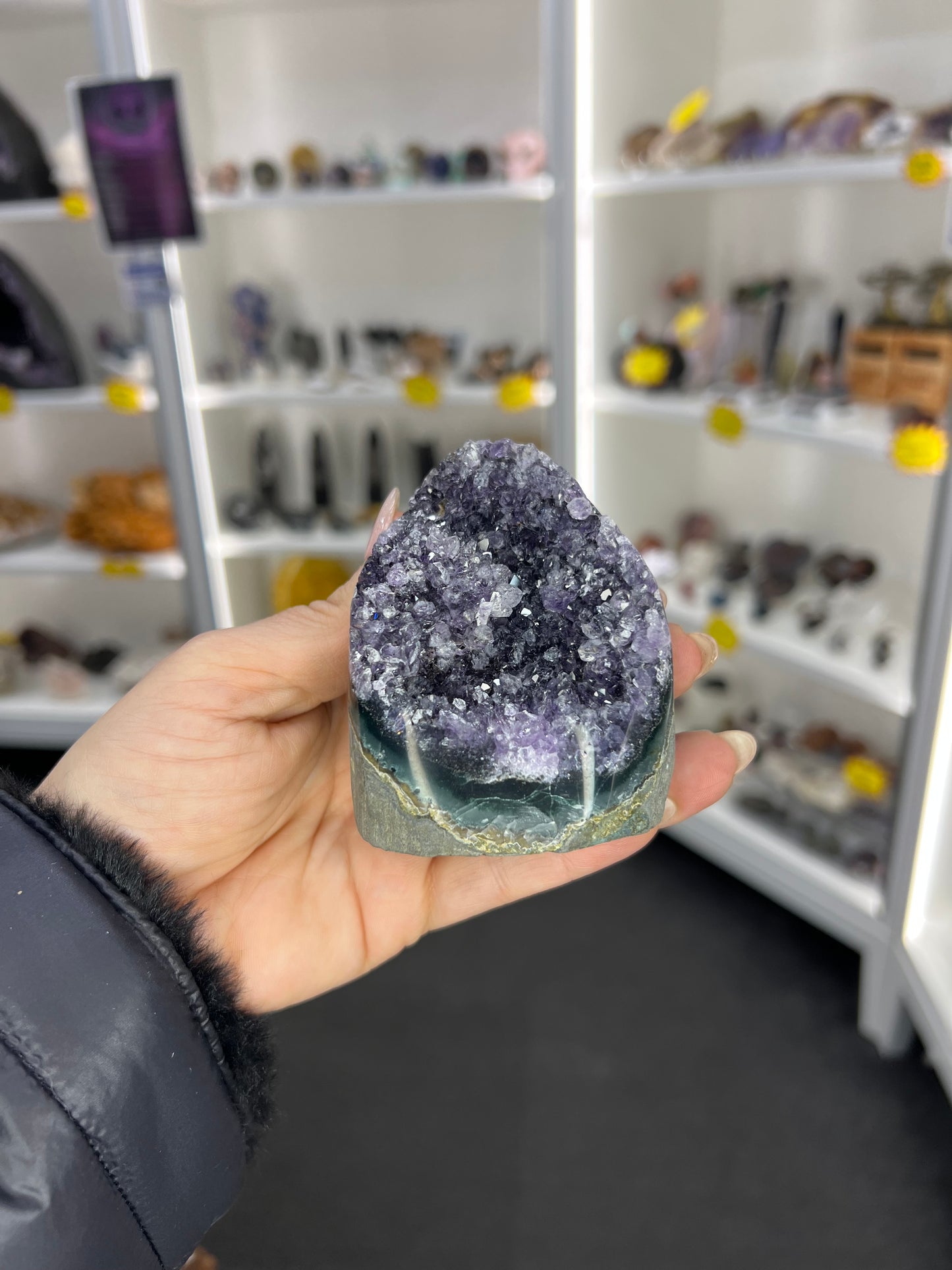 Amethyst Cluster Specimen