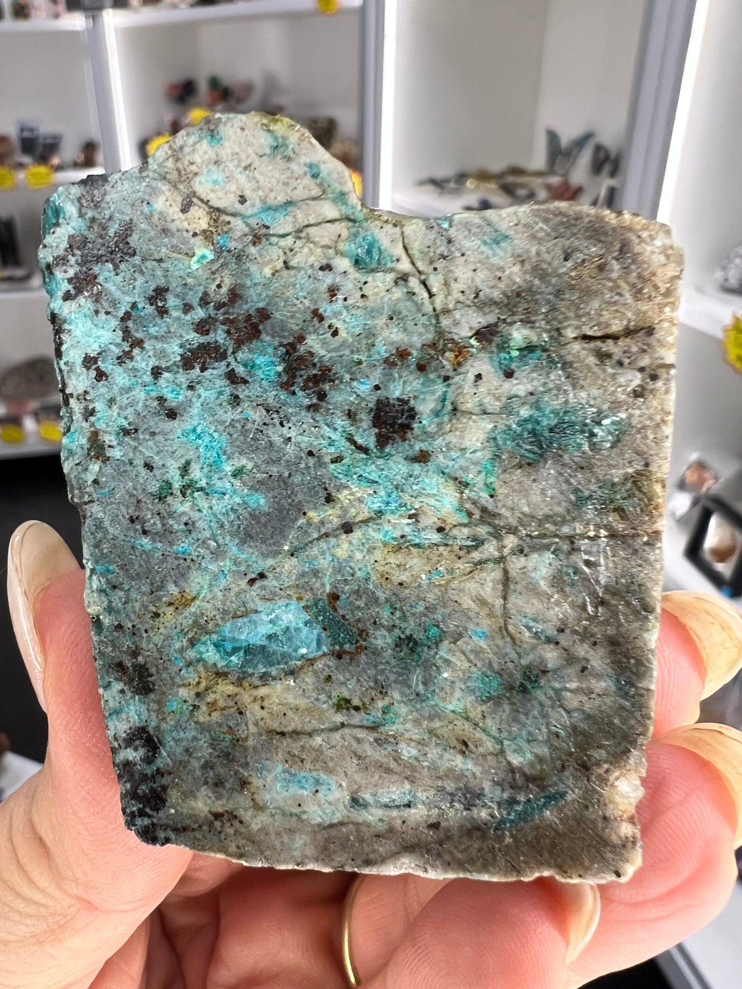 Chrysocolla Little Guy
