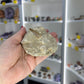 Monasaur Tooth in Matrix