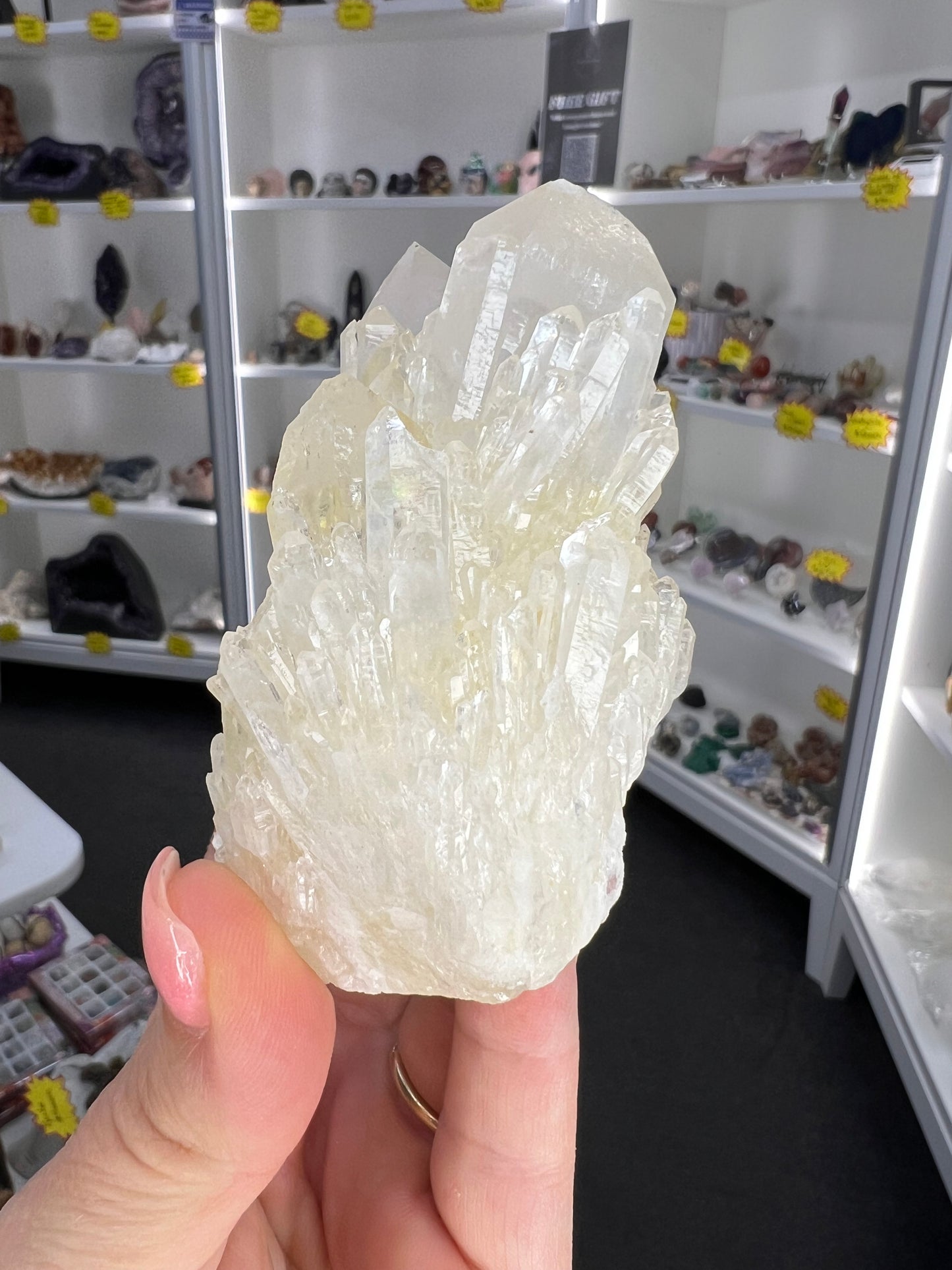 Clear Quartz Cluster