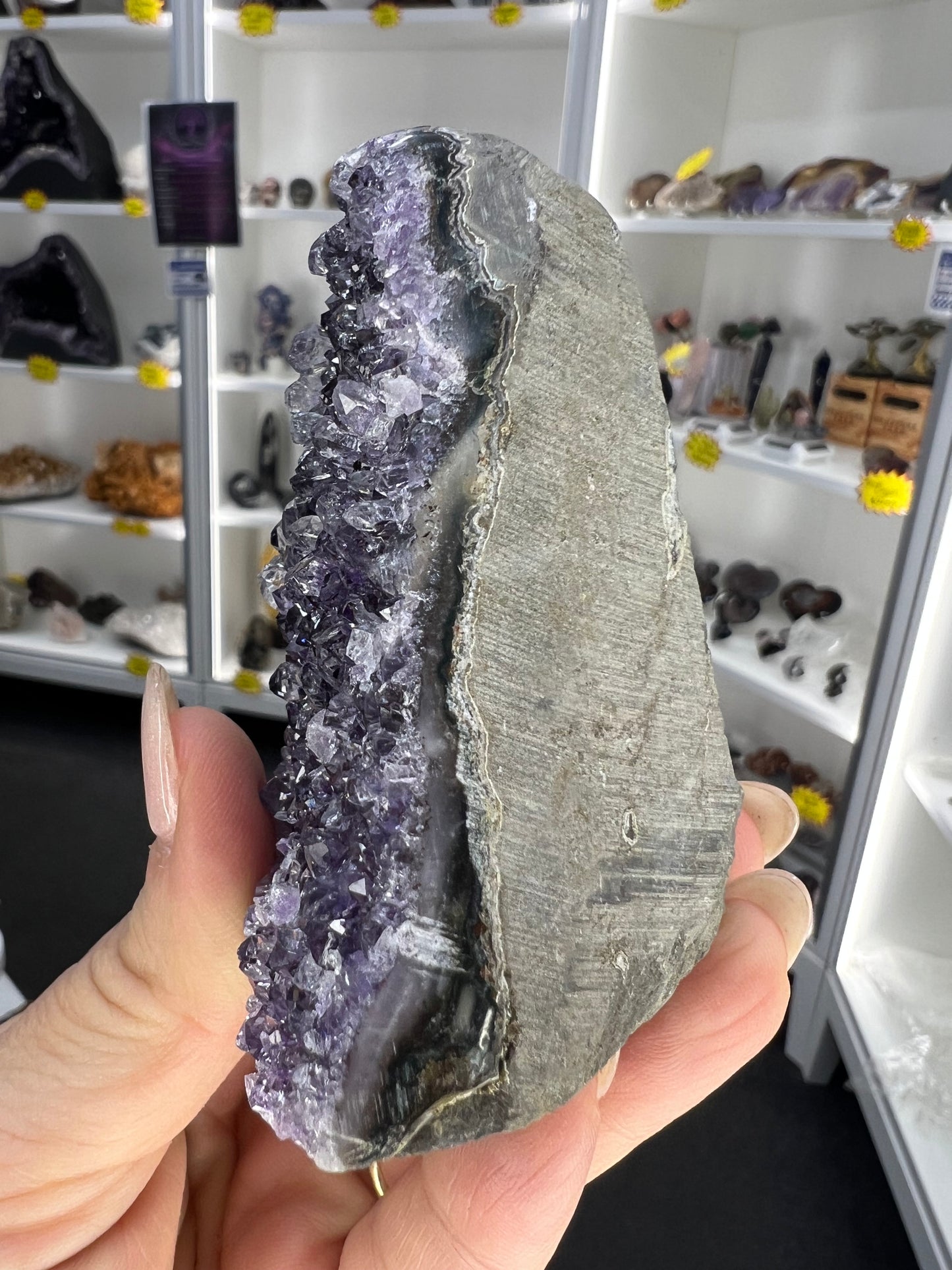 Amethyst Cluster Specimen