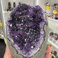 Amethyst Cluster