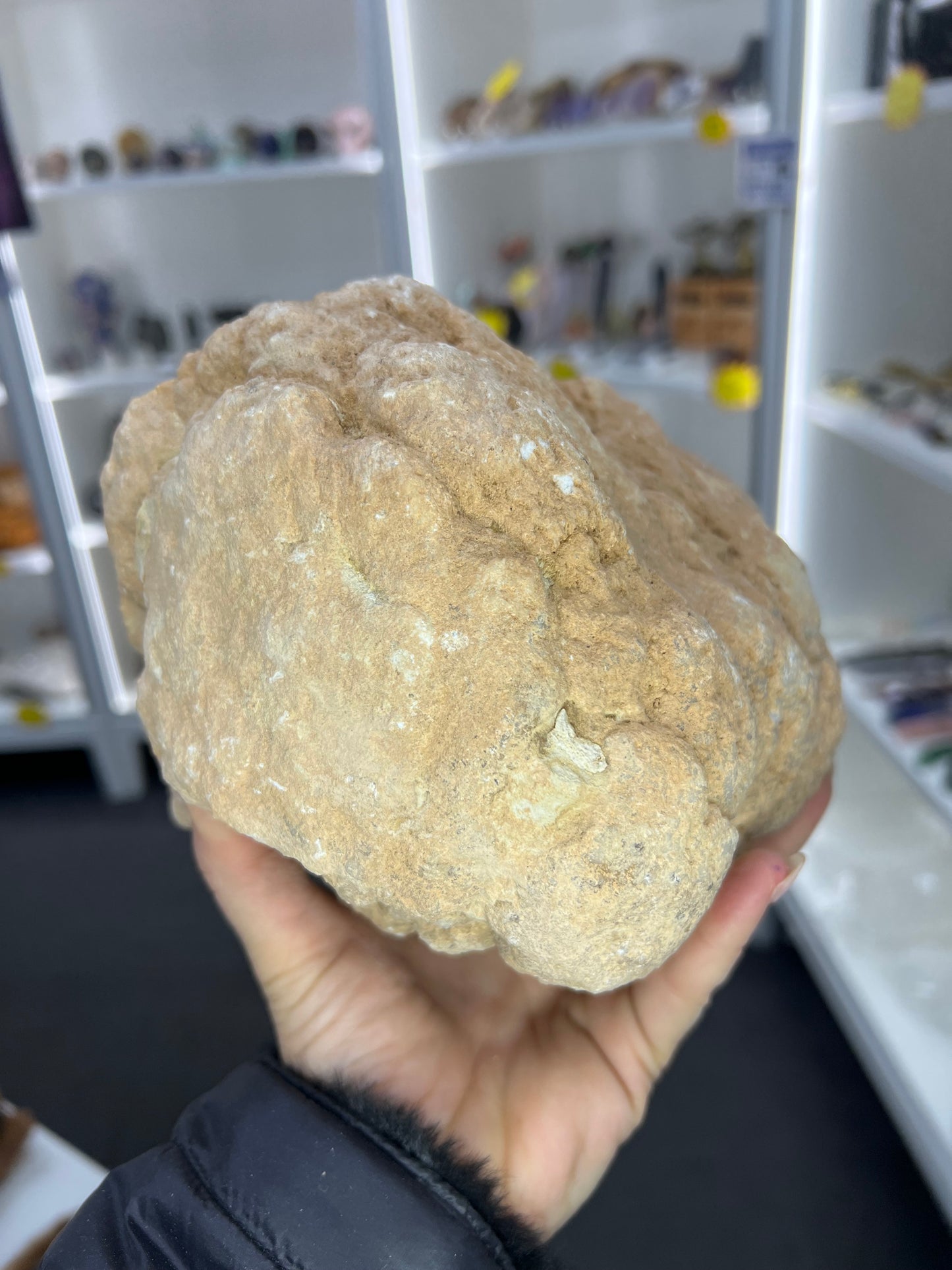 Quartz Geode Specimen