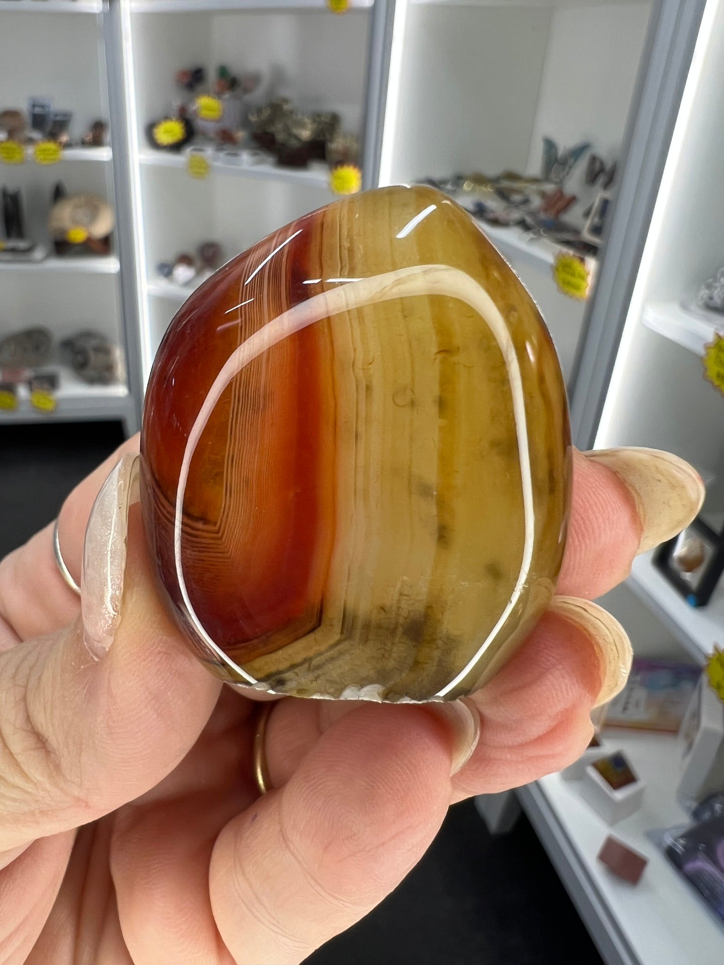 Sardonyx Little Guy