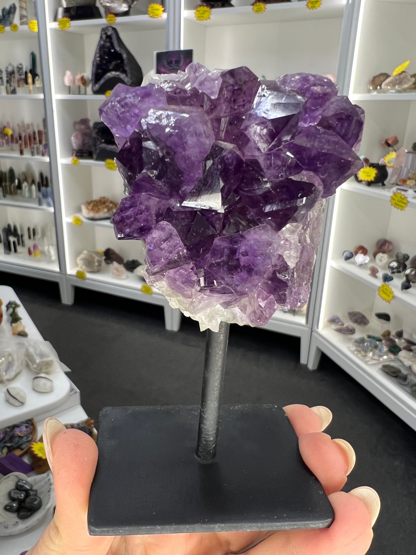 Amethyst Cluster Specimen on Stand