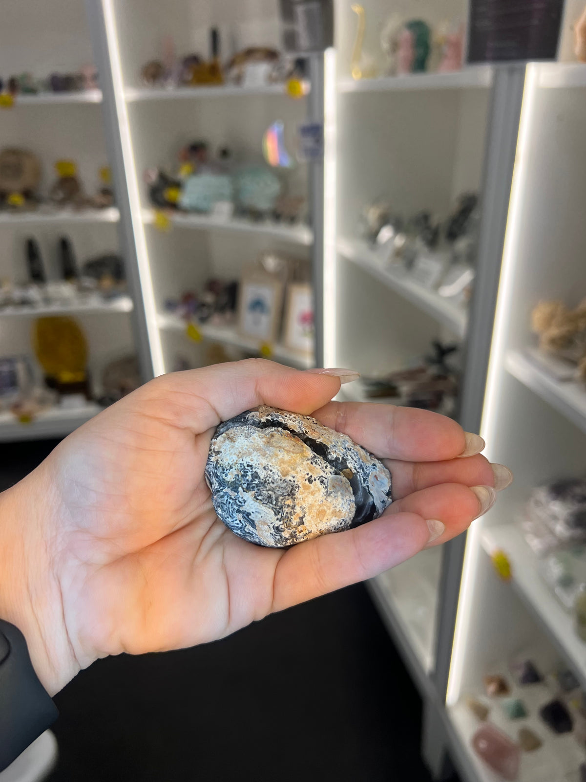 Mexican Agate Geode