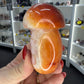 Carnelian Mushroom