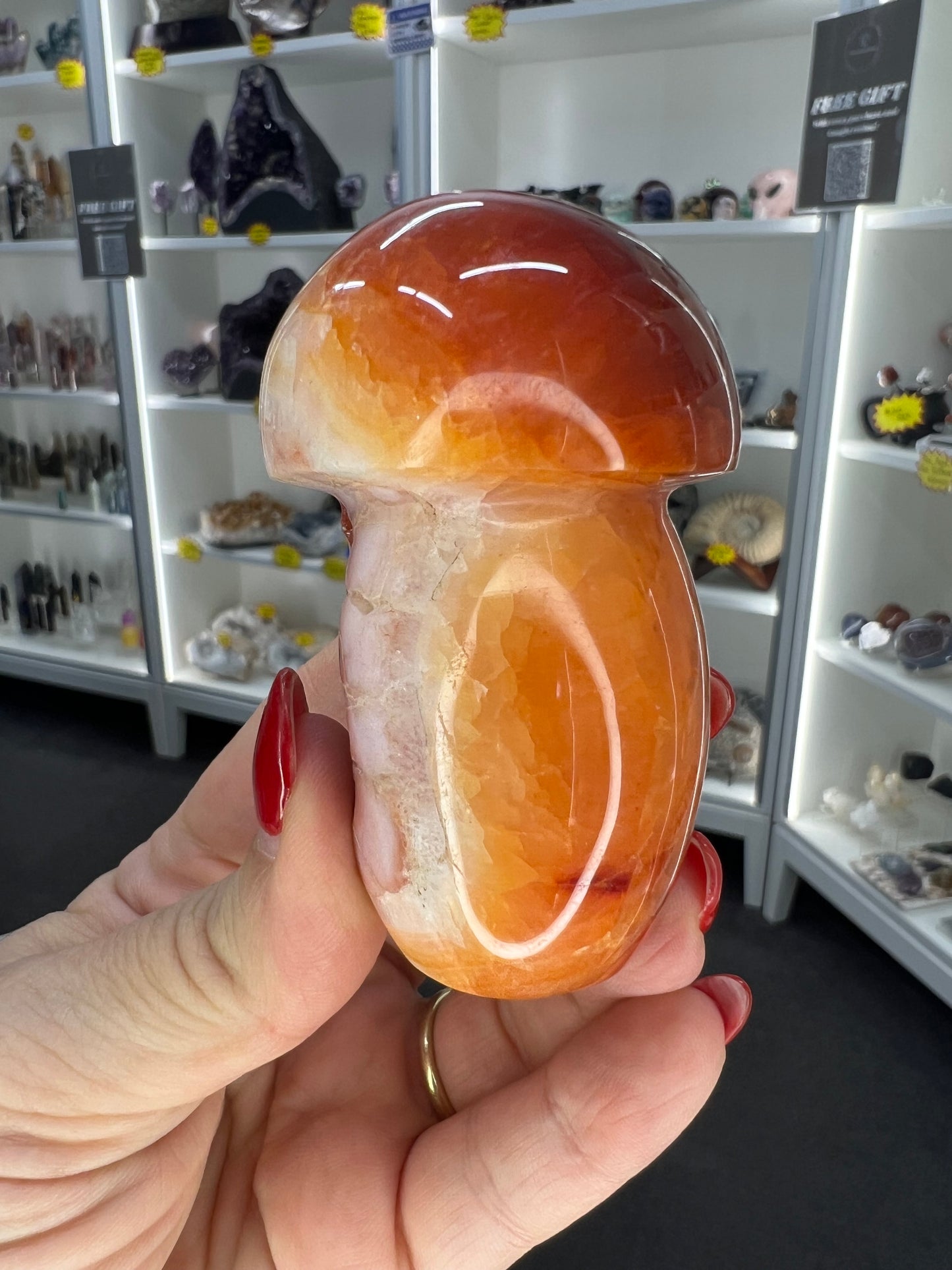 Carnelian Mushroom