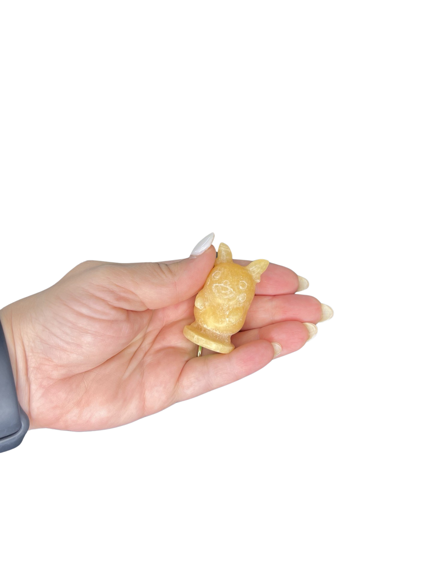 Honey Calcite Pokemon Character