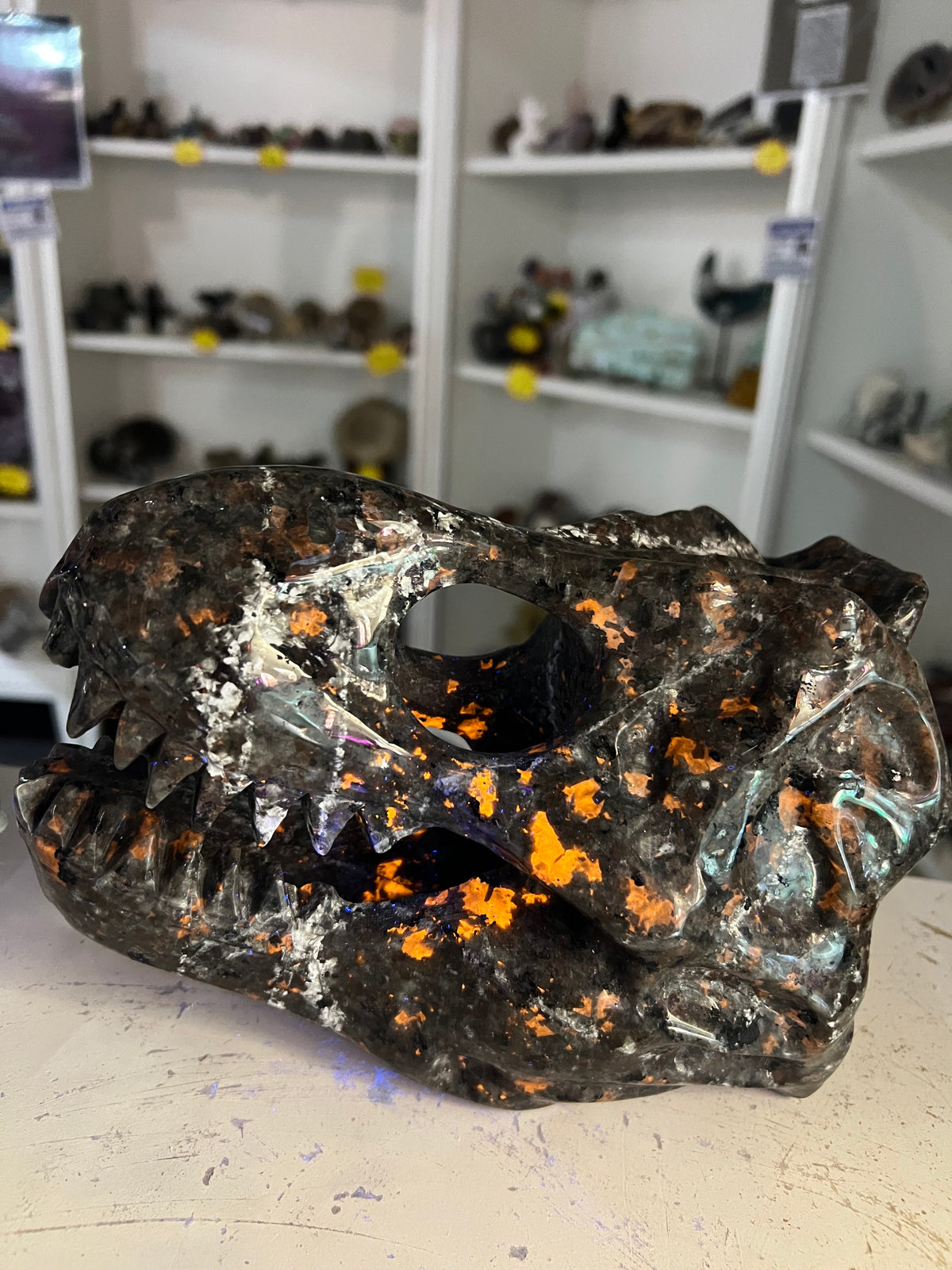 Yooperlite Dinosaur Skull (UV Reactive)