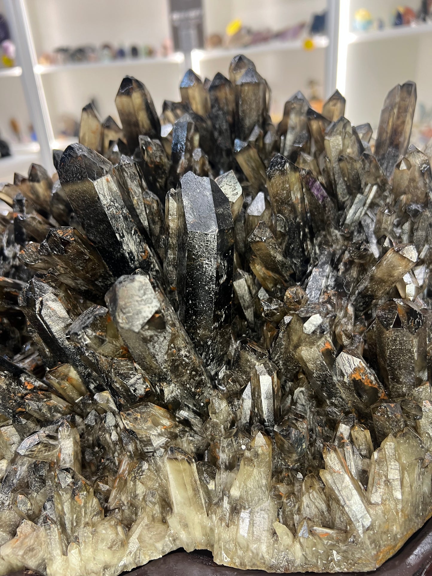 Spectacular Smoky Quartz Cluster on Custom Wooden Stand