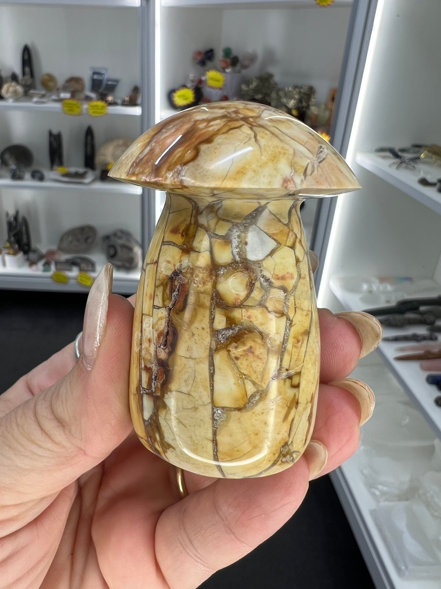 Ocean Jasper Mushroom