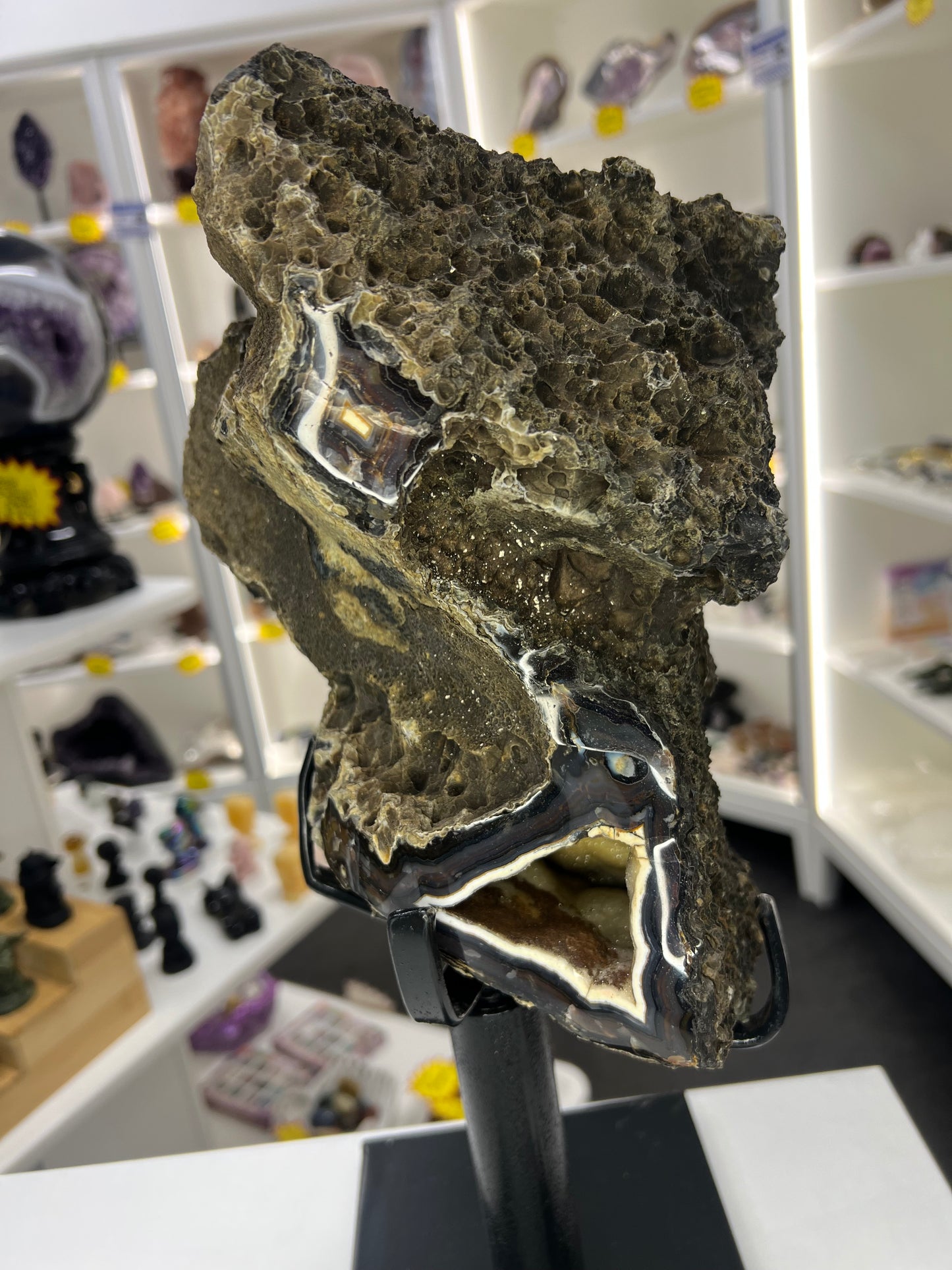 Super Rare Black Chalcedony on Metal Stand