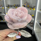 Pink Opal Forever Rose