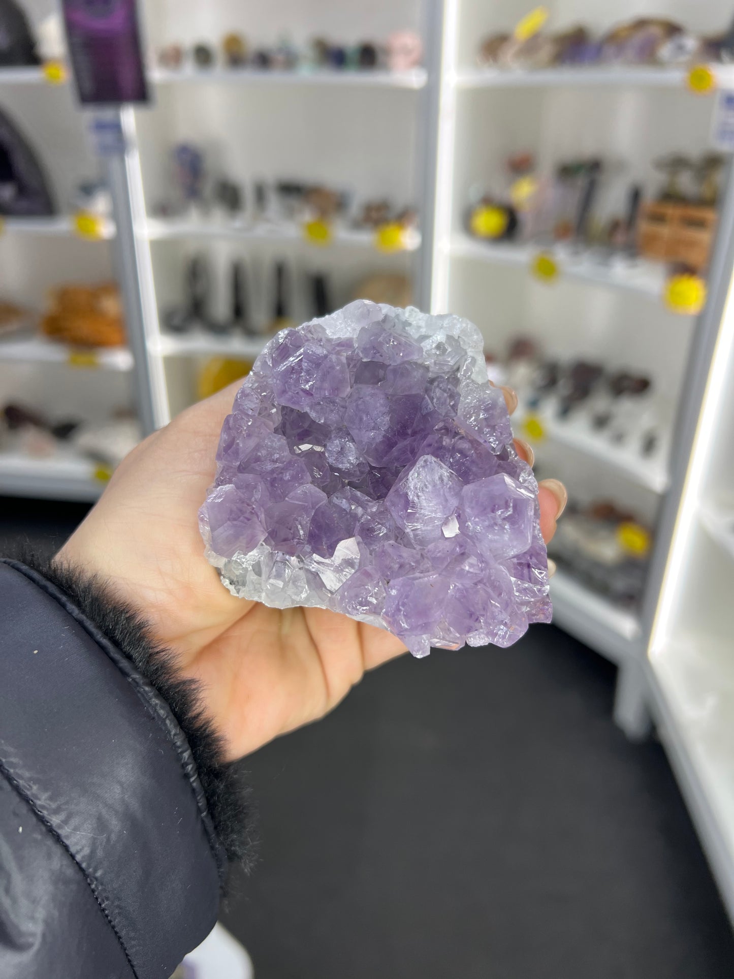 Amethyst Cluster Specimen