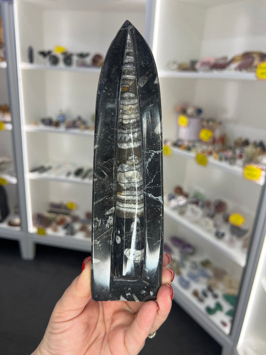 Orthoceras Totem