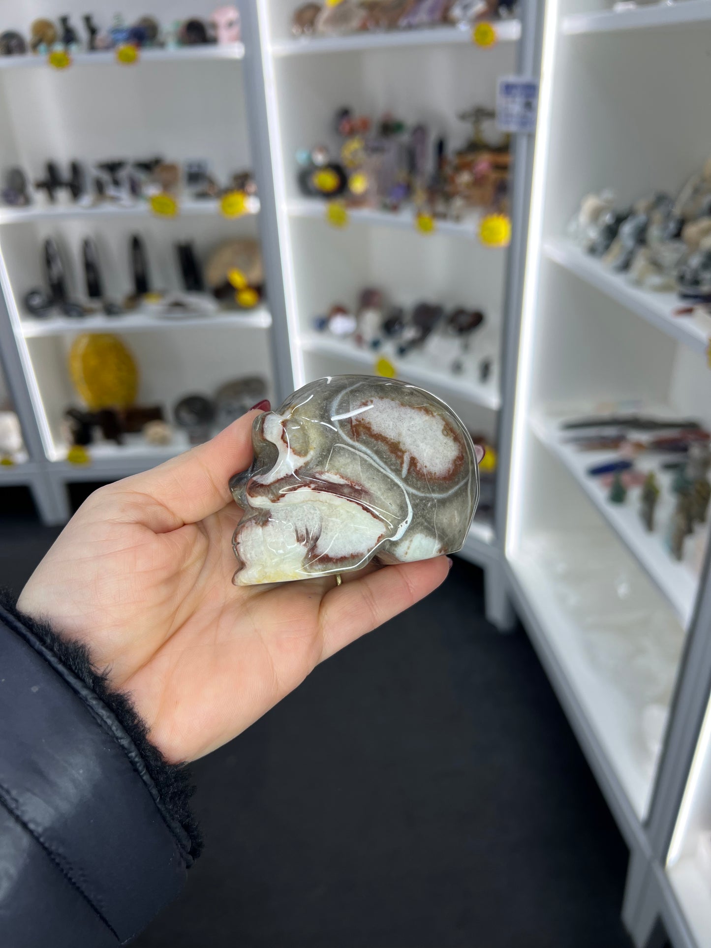Caribbean Calcite Skull