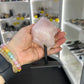 Rose Quartz Point on Stand