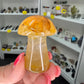 Golden Healer Mushroom